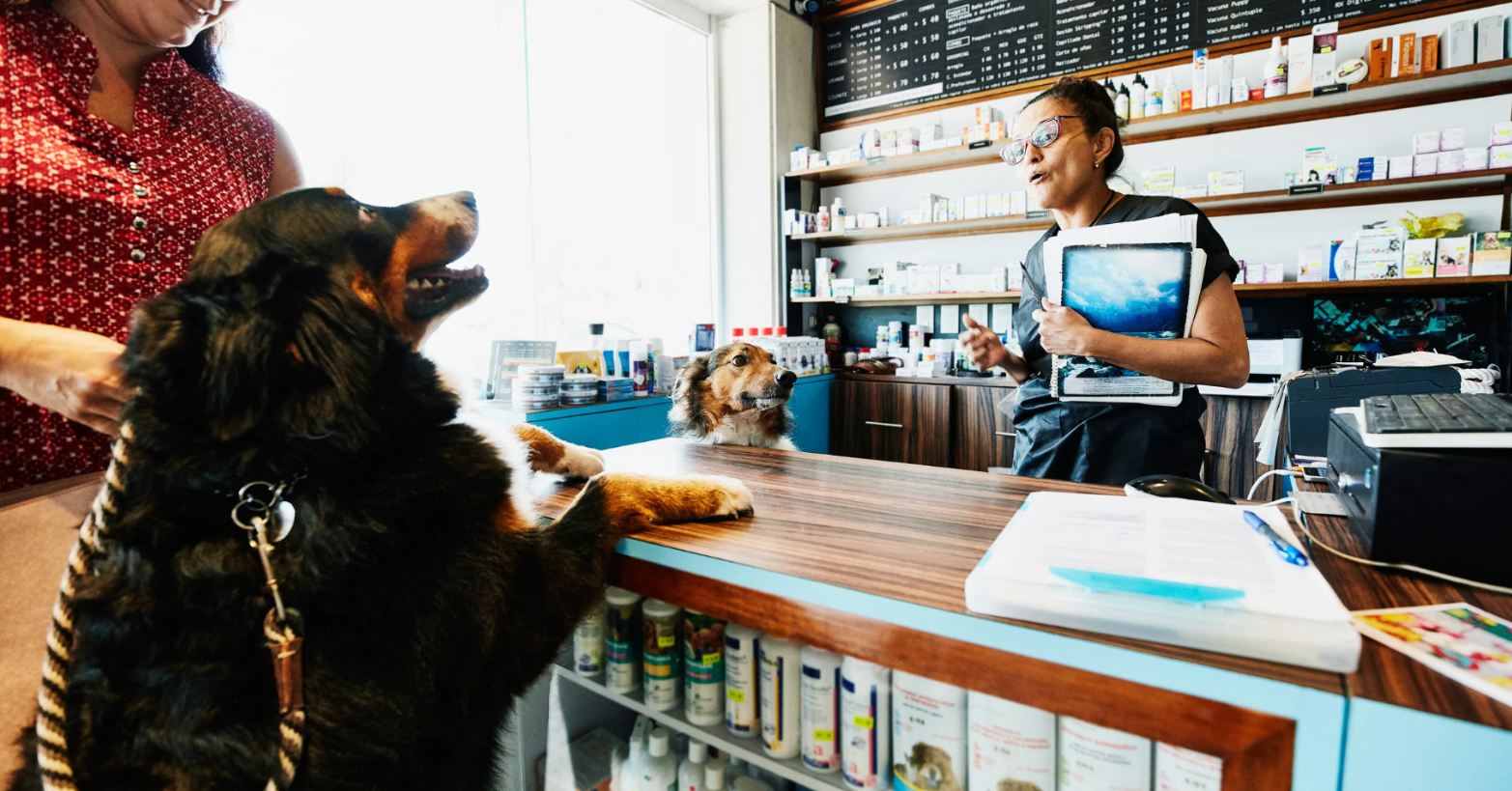 Beyond Bookings: What Your Pet Grooming Business Really Needs