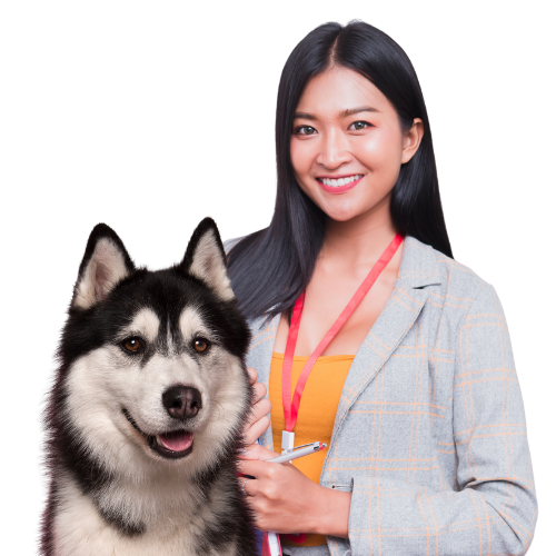 Accountant Interface