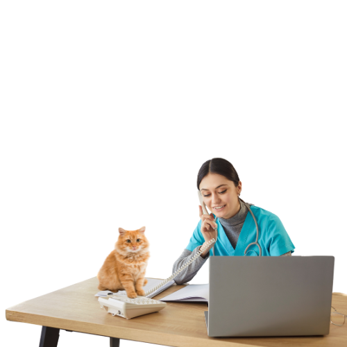 Receptionist Interface