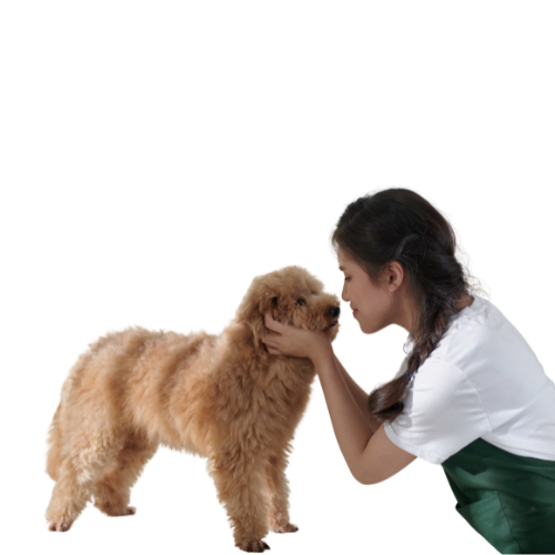 Staff Management Interface